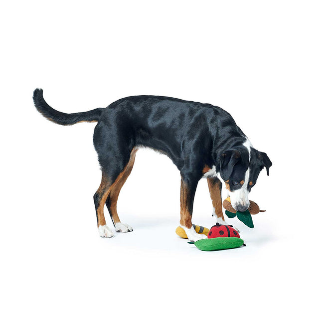 Hunter Hundespielzeug | Florenz, Biene Stoffspielzeug