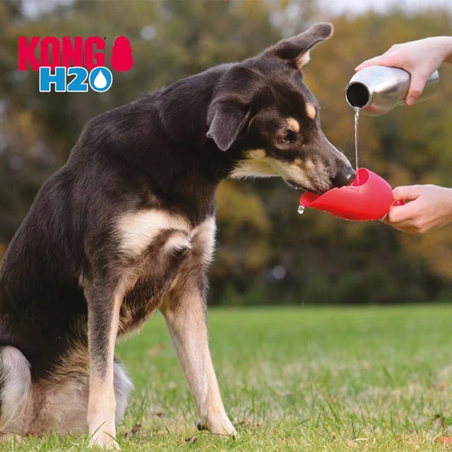 Kong Wasserflasche | KONG® H2O, Rot Wasserflasche