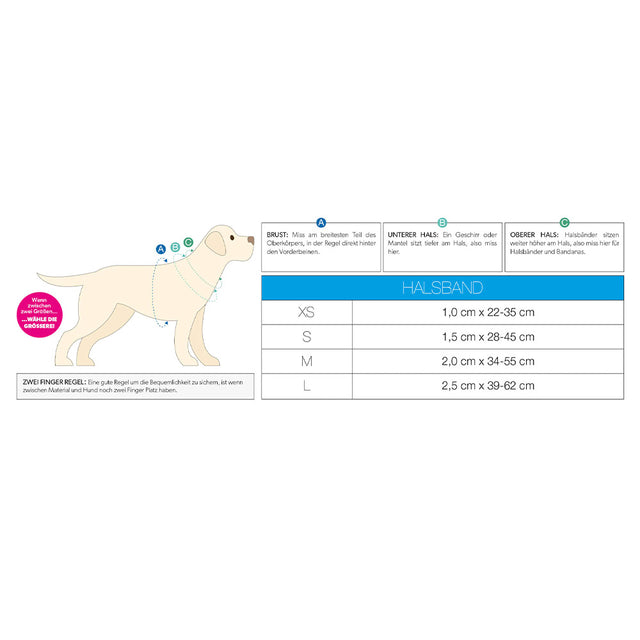 Max & Molly Urban Pets Hundehalsband | GOTCHA! Smart ID, Little Monsters Hundehalsband