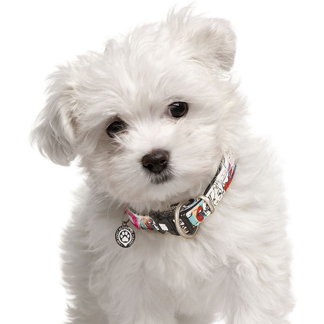 Hundehalsband | GOTCHA! Smart ID, Missy Pop