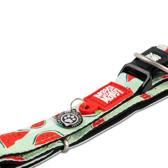 Max & Molly Urban Pets Hundehalsband | GOTCHA! Smart ID, Watermelon Hundehalsband