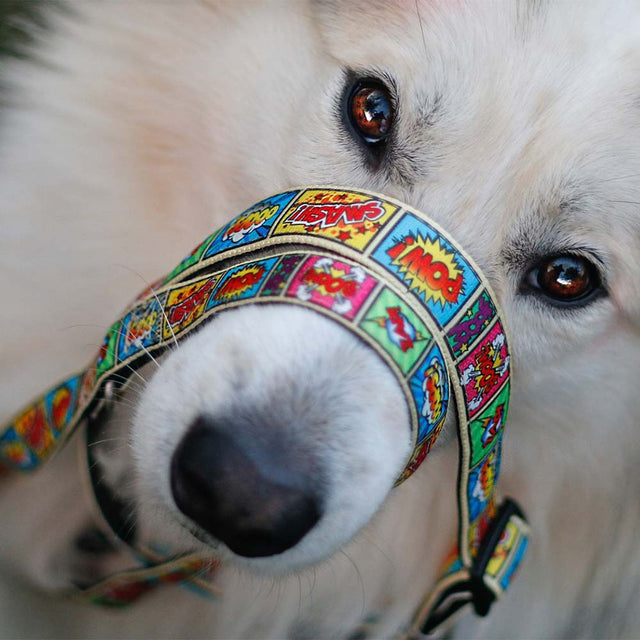Max & Molly Urban Pets Hundeleine | Multi-Function Leash, Comic Hundeleine