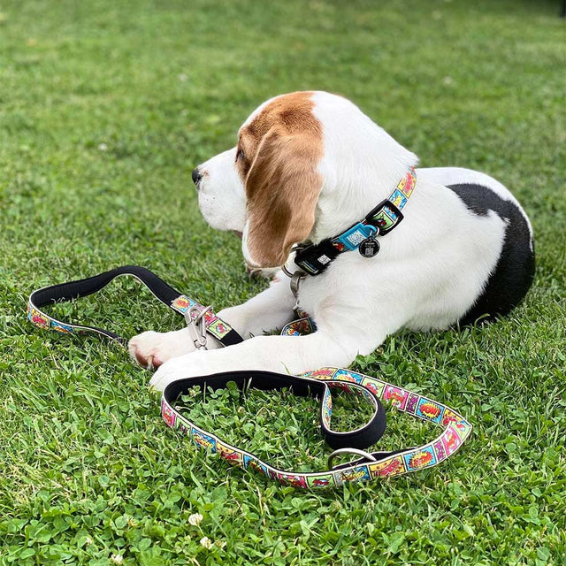 Max & Molly Urban Pets Hundeleine | Multi-Function Leash, Comic Hundeleine