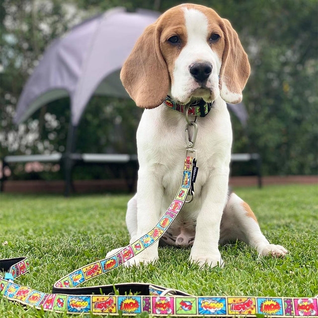 Max & Molly Urban Pets Hundeleine | Multi-Function Leash, Comic Hundeleine