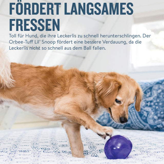 Planet Dog Hundespielzeug Orbee-Tuff® | Lil' Snoop Interaktiv