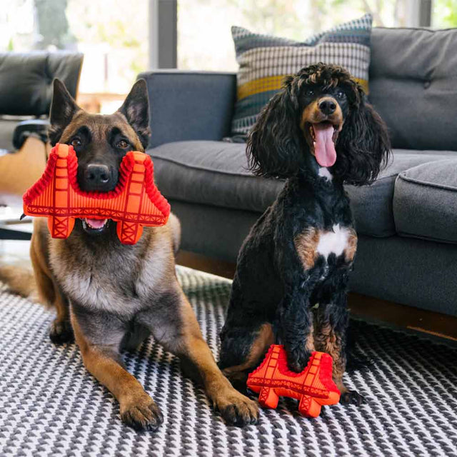 P.L.A.Y. Hundespielzeug | Golden Gate Bridge Stoffspielzeug