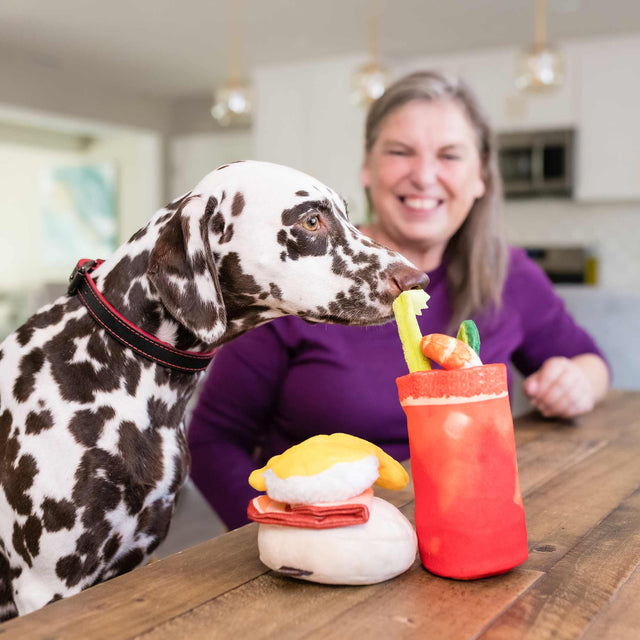 P.L.A.Y. Hundespielzeug, Buddy Mary Stoffspielzeug