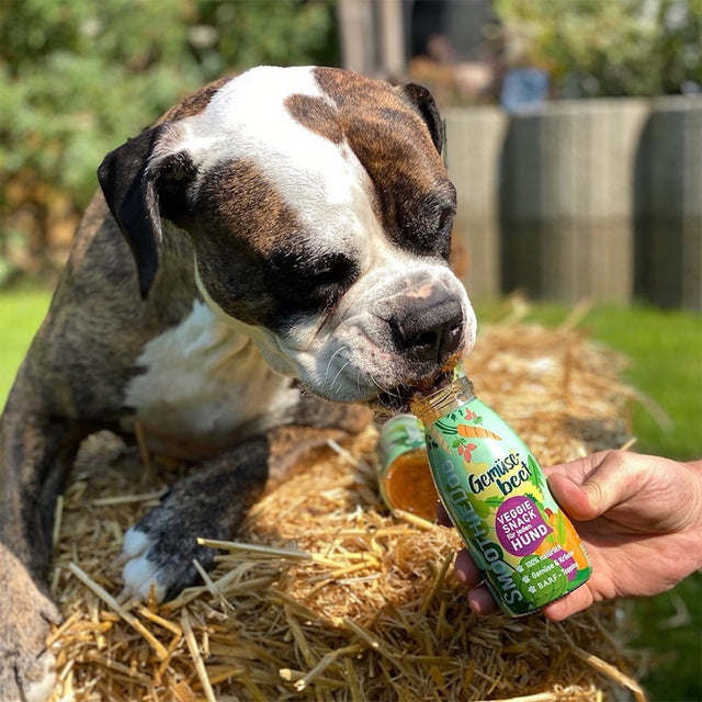 SmoothieDog Hundesmoothie, Gemüsebeet Veggie
