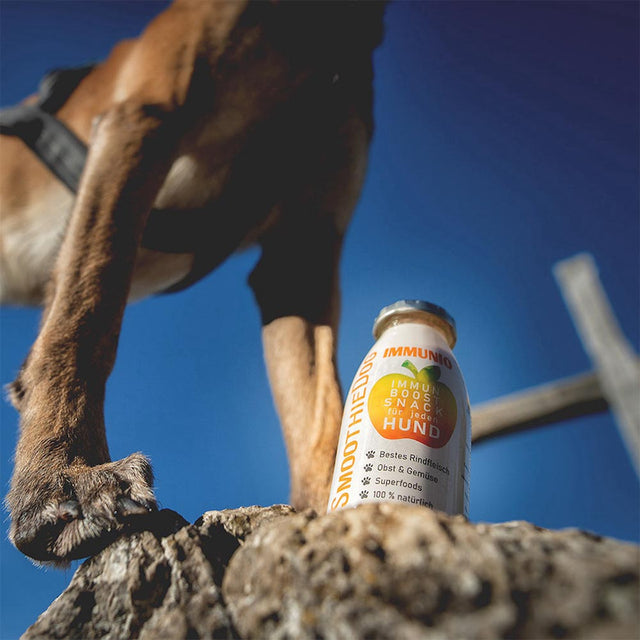 SmoothieDog Hundesmoothie, Immunio Rind Fleischsnacks