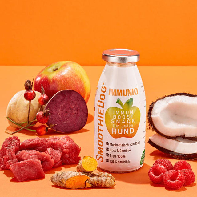 SmoothieDog Hundesmoothie, Immunio Rind Fleischsnacks