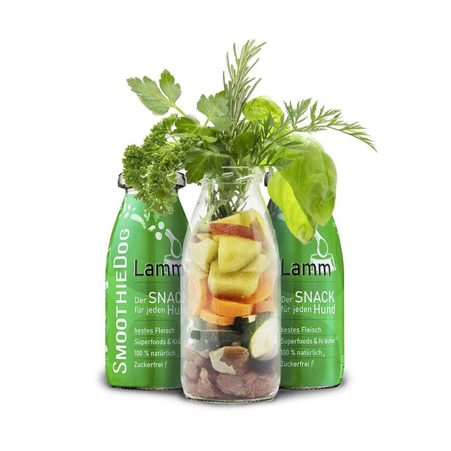 SmoothieDog Hundesmoothie, Lamm Fleischsnacks