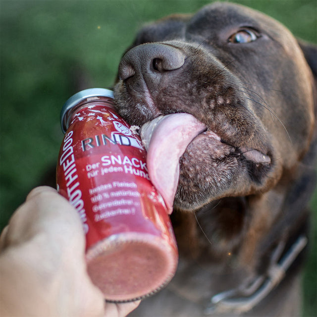 SmoothieDog Hundesmoothie, Rind Fleischsnacks