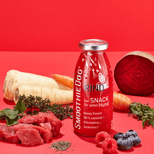 SmoothieDog Hundesmoothie, Rind Fleischsnacks