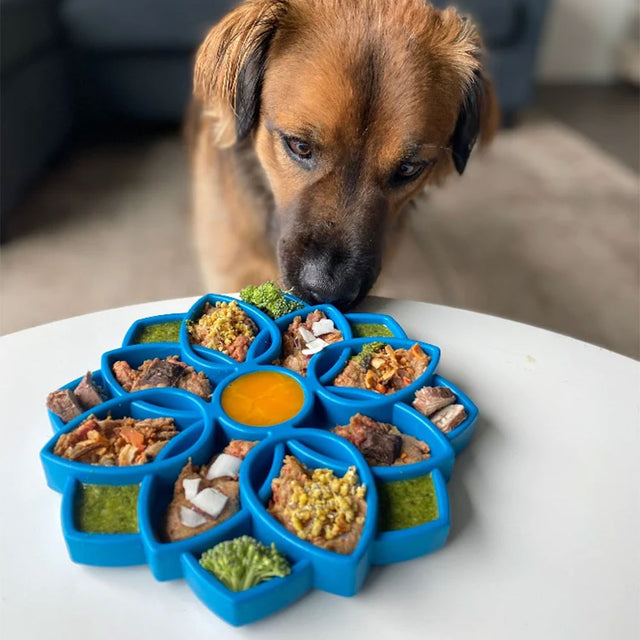 Sodapup Antischlingnapf | eTray Mandala Purple Interaktiv