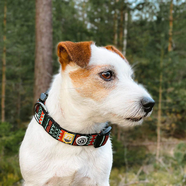 Woolly Wolf Hundehalsband | Woodland Hundehalsband