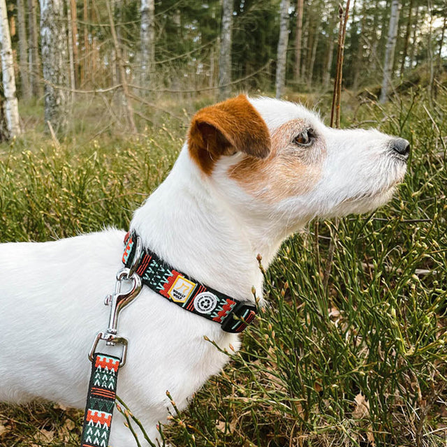 Woolly Wolf Hundeleine | Woodland Hundeleine