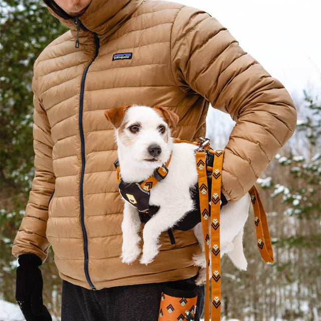 Woolly Wolf Hundeleine | Sea to Summit Hundeleine