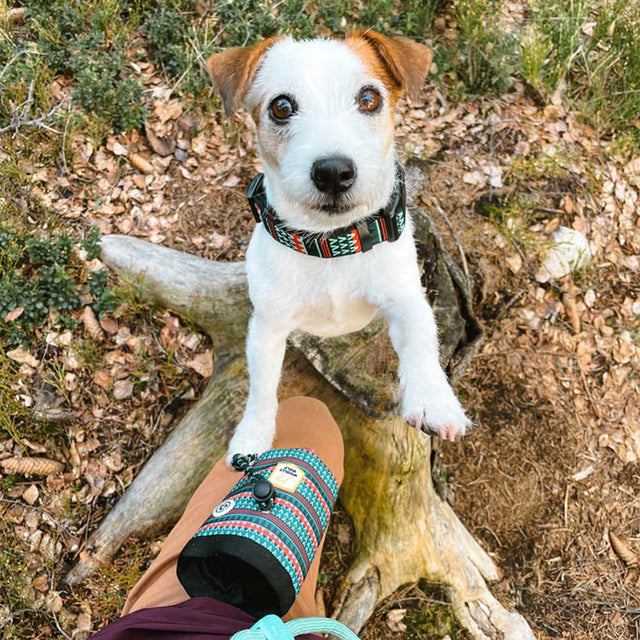 Woolly Wolf Leckerlibeutel | Woodland Leckerlibeutel
