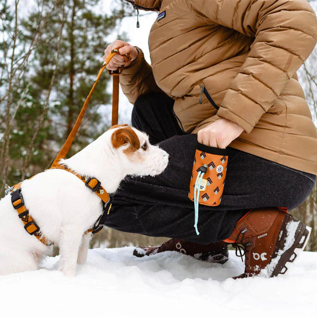 Woolly Wolf Leckerlibeutel | Sea to Summit Leckerlibeutel