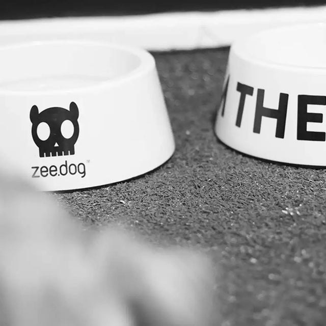 Zee.Dog Hundenapf The Boss white Napf