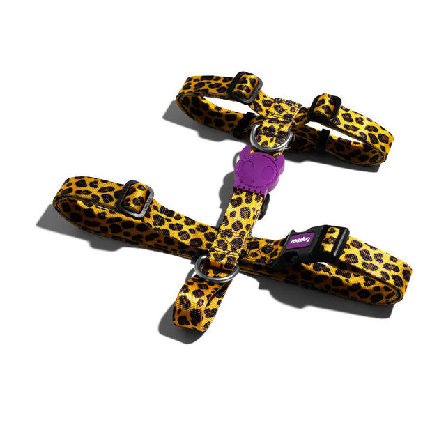 Zee.Dog Hundegeschirr | H-Harness, Honey Hundegeschirr