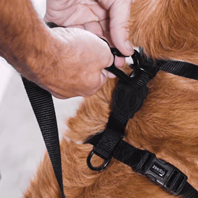 Zee.Dog Hundegeschirr H-Harness Neopro, Lime Hundegeschirr