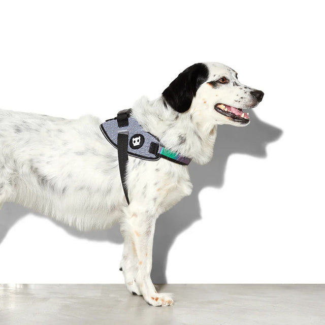 Zee.Dog Hundegeschirr Fly Harness, Urban Hundegeschirr