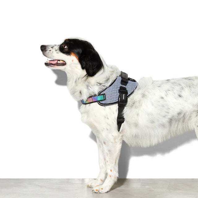 Zee.Dog Hundegeschirr Fly Harness, Urban Hundegeschirr