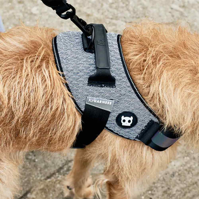 Zee.Dog Hundegeschirr Fly Harness, Urban Hundegeschirr