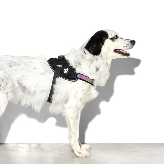 Zee.Dog Hundegeschirr Fly Harness, Gotham Hundegeschirr