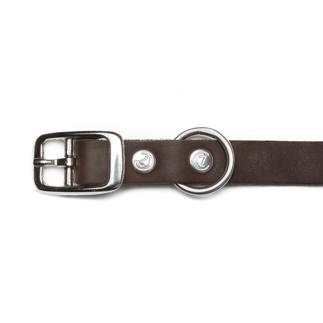Cloud7 Hundehalsband Riverside Park | Saddle Brown Hundehalsband