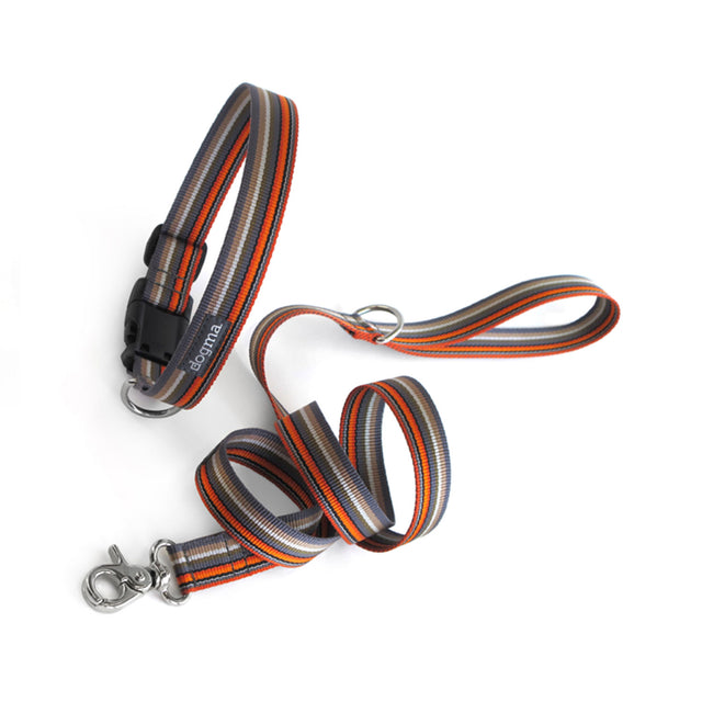 dogma Hundehalsband Stripes 25 | Graubunt Hundehalsband