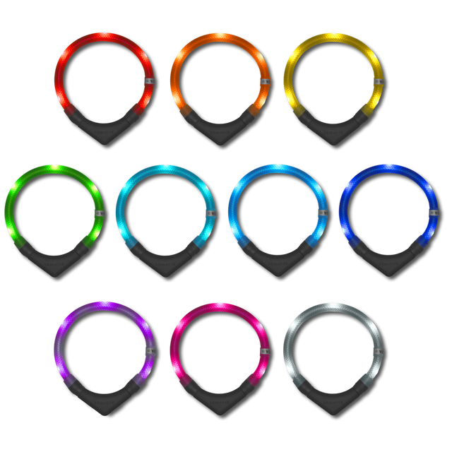 Leuchtie Hunde-Leuchthalsband Plus | Sonnengelb Sicherheit