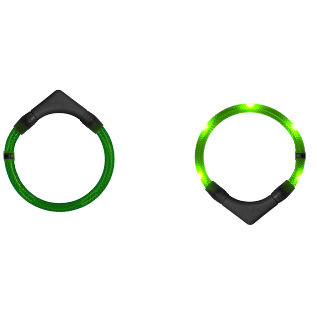 Leuchtie Hunde-Leuchthalsband Plus | Weiß Sicherheit