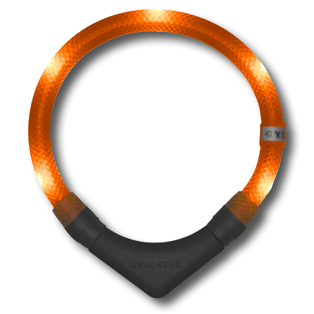 Leuchtie Hunde-Leuchthalsband Plus | Sunset Orange Sicherheit