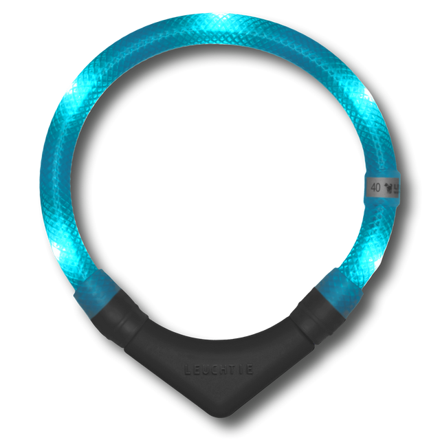 Leuchtie Hunde-Leuchthalsband Plus | Türkis Sicherheit
