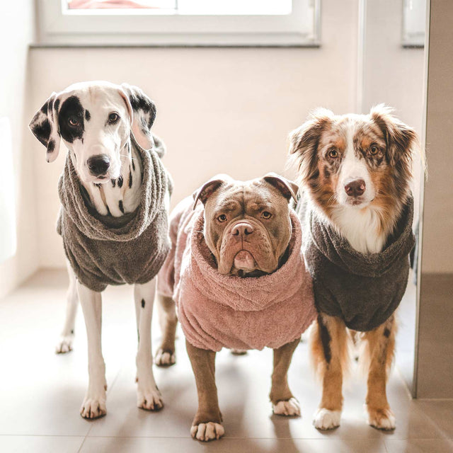 Lill's Hundebademantel | Amber Hundebademantel