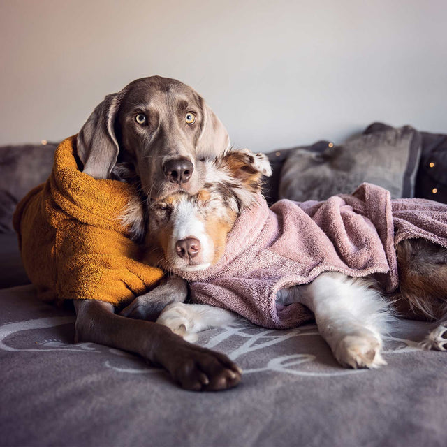 Lill's Hundebademantel | Amber Hundebademantel