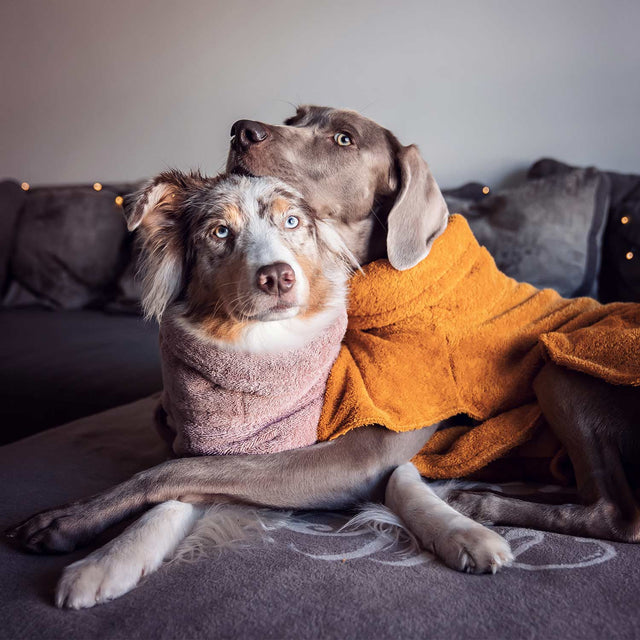 Lill's Hundebademantel | Amber Hundebademantel