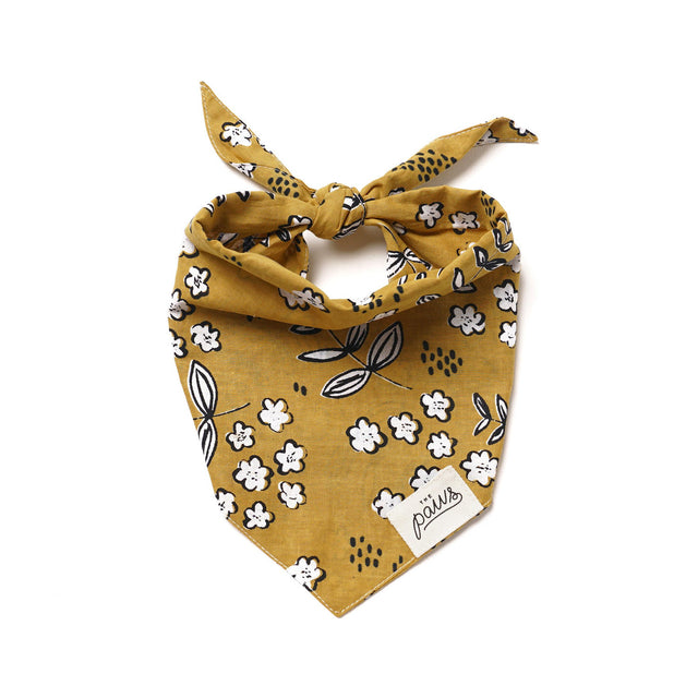 The Paws Bandana, Goldie Hundehalstücher