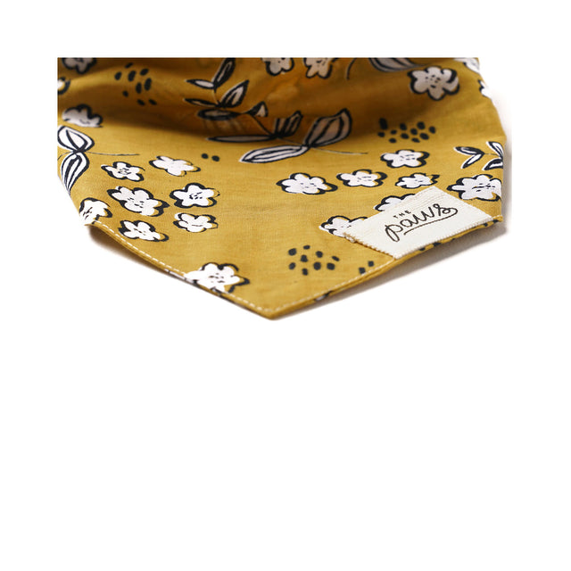 The Paws Bandana, Goldie Hundehalstücher