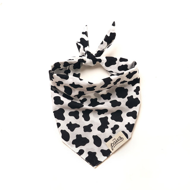The Paws Bandana, Holy Cow Hundehalstücher X-Small