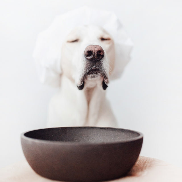 District 70 Hundenapf Bamboo | Dark Grey Napf