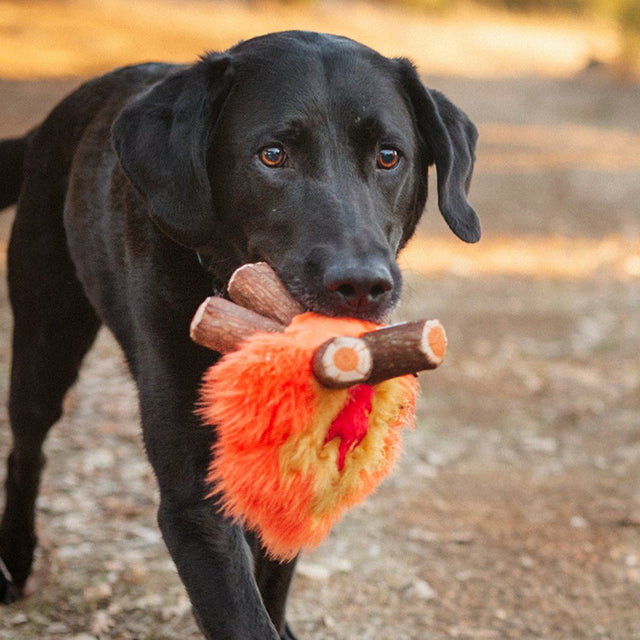 P.L.A.Y. Hundespielzeug | Cozy Campfire Stoffspielzeug