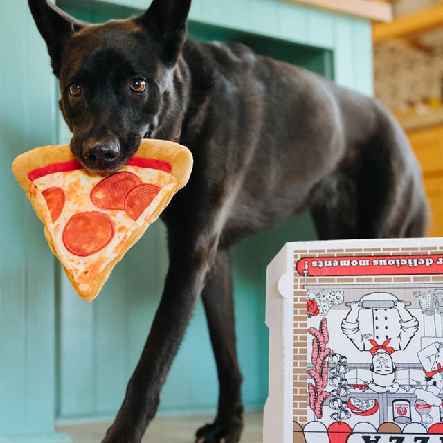 P.L.A.Y. Hundespielzeug, Puppy-roni Pizza Stoffspielzeug