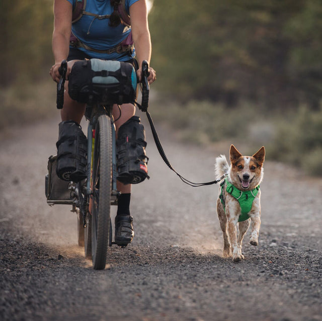 Ruffwear Hundeleine Roamer™ | Granite Gray Hundeleine