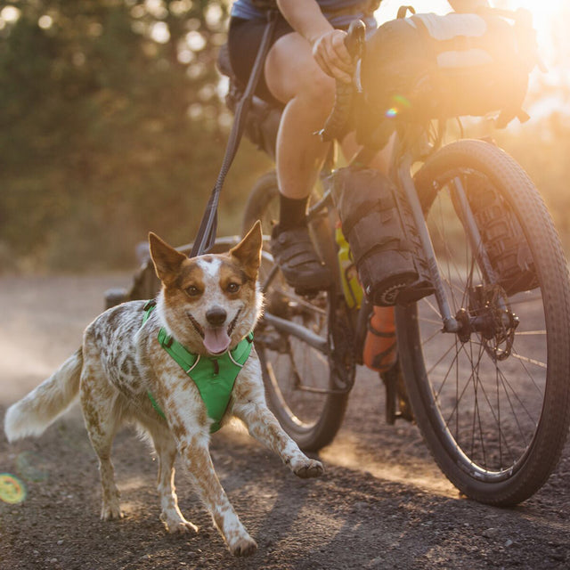 Ruffwear Hundeleine Roamer™ | Granite Gray Hundeleine