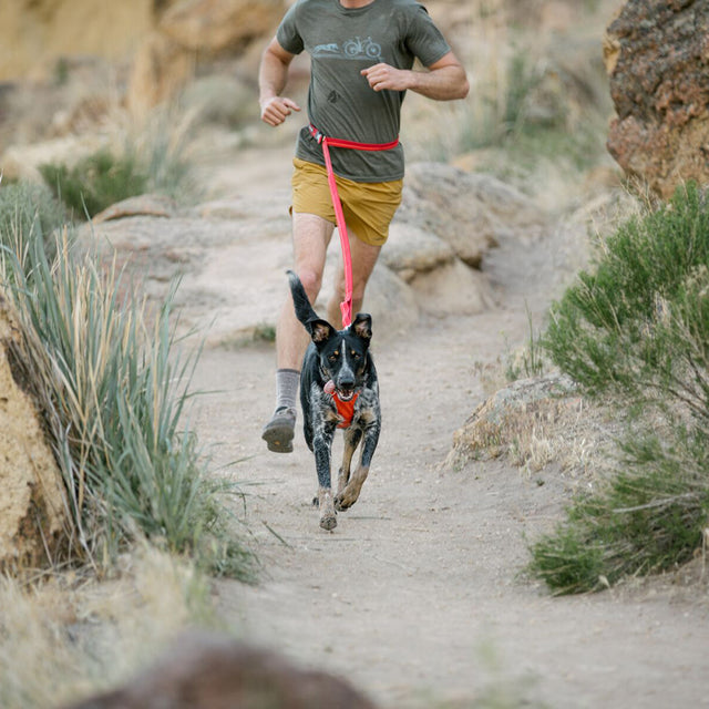 Ruffwear Hundeleine Roamer™ | Granite Gray Hundeleine