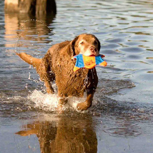Chuckit! Hundespielzeug | Flying Squirrel Frisbee Frisbee