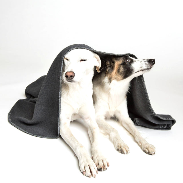 Cloud7 Hundedecke Soft Fleece | Dark Grey Hundedecke